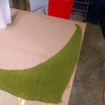 Fresh off the needles, but before a cat has sat on it