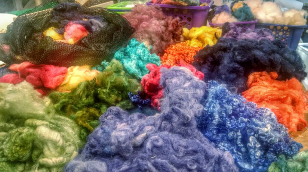 CVM, Romney, BFL, Dorset, & Huacaya in ALL THE COLORS